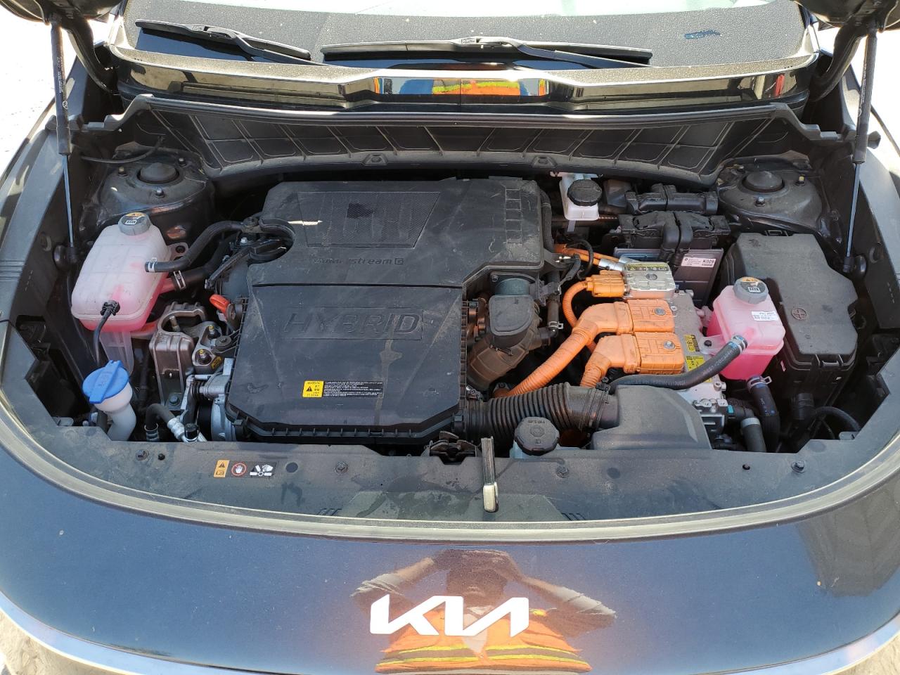 2024 Kia Niro Ex VIN: KNDCR3LE2R5156634 Lot: 55531555