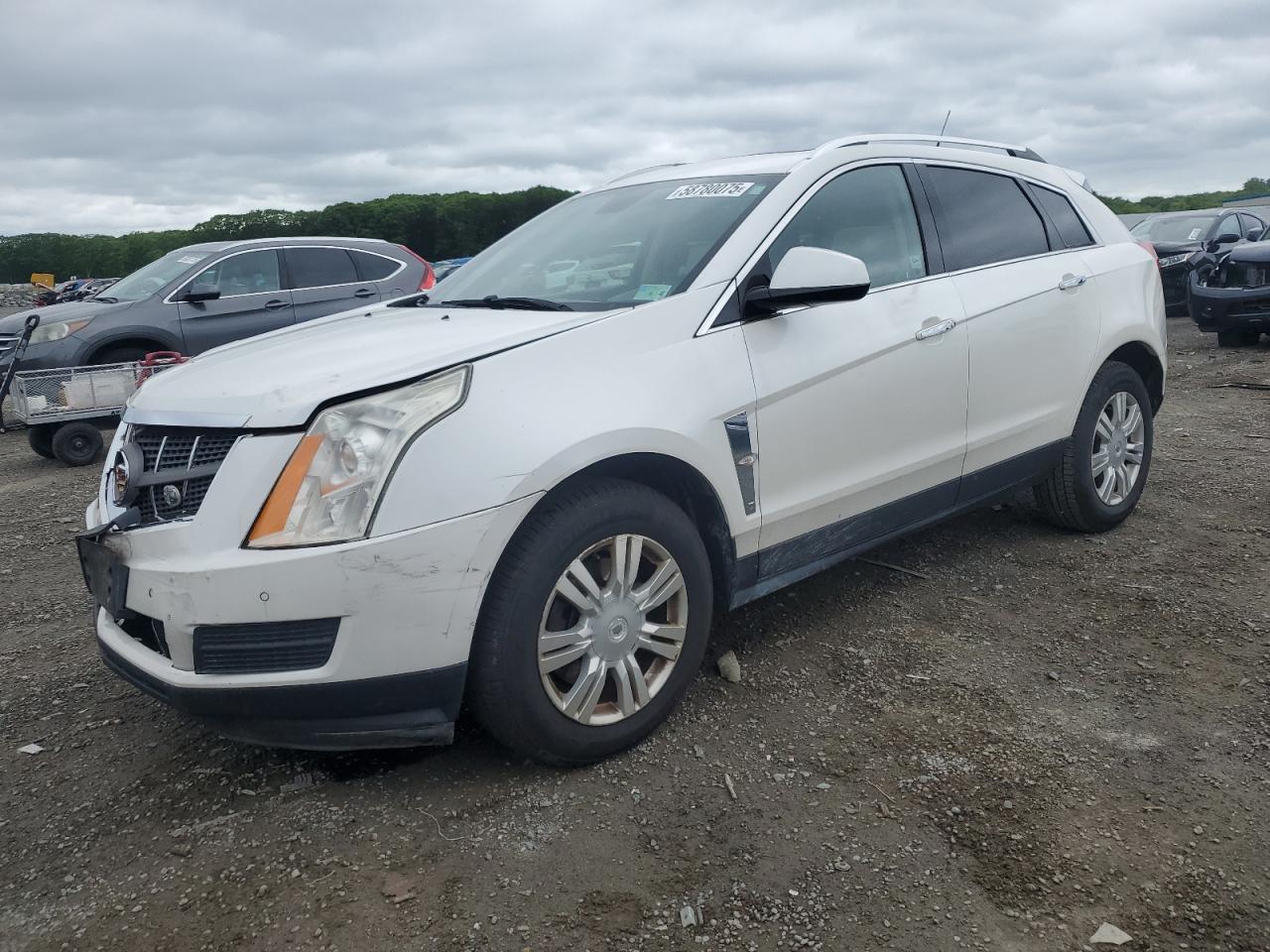 2011 Cadillac Srx Luxury Collection na sprzedaż w Assonet, MA - Front End