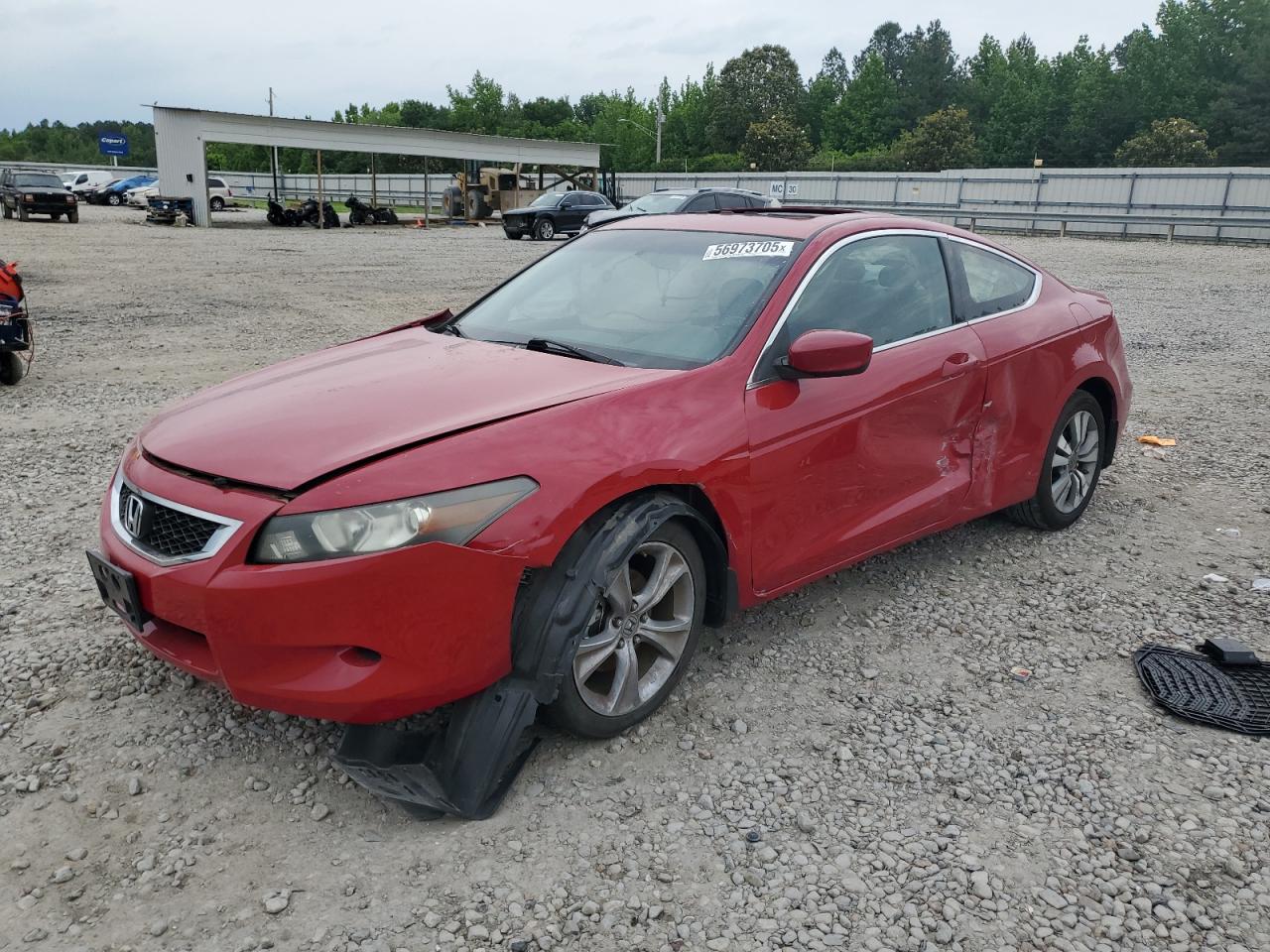 2009 Honda Accord Exl იყიდება Memphis-ში, TN - Biohazard/Chemical