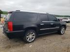 2009 Cadillac Escalade Esv Platinum de vânzare în Chatham, VA - Side