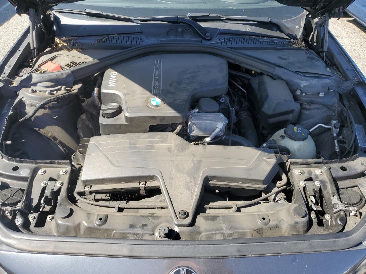 2016 BMW 228 I Sulev VIN: WBA1F9C59GV546076 Lot: 57178955