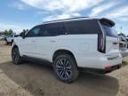 2024 CADILLAC ESCALADE SPORT PLATINUM   for sale at Copart AB - CALGARY