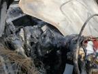 2019 Gmc Acadia Denali de vânzare în Sikeston, MO - Burn