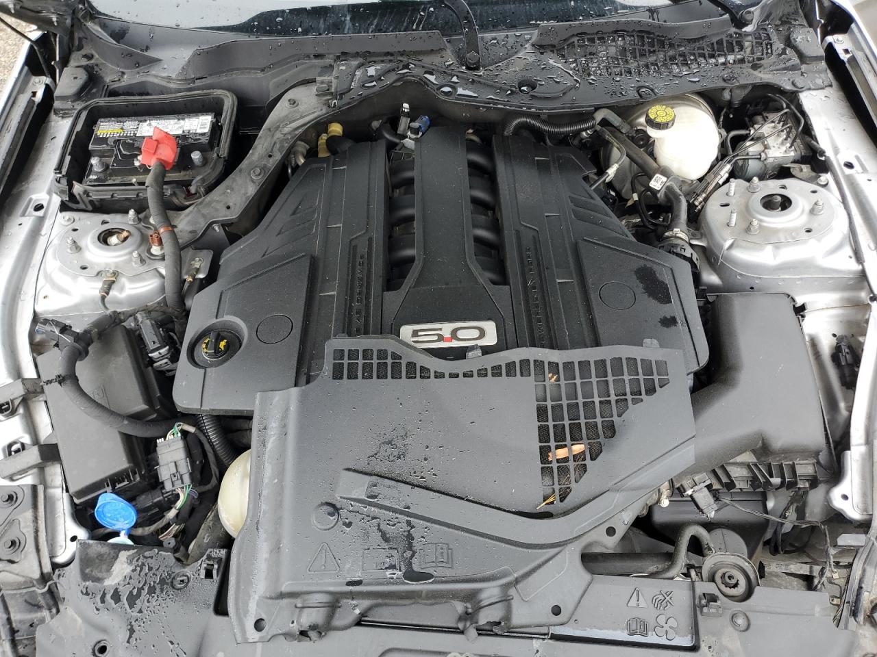 1FA6P8CF4M5116482 FORD MUSTANG 2021