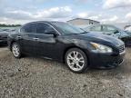 Louisville, KY에서 판매 중인 2012 Nissan Maxima S - Hail