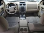 2010 Ford Escape Xlt zu verkaufen in Las Vegas, NV - Front End