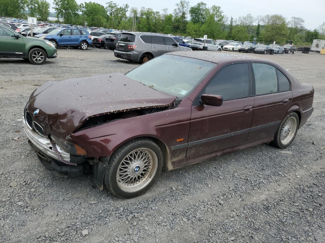 WBADD6329WBW36965 BMW 5 SERIES Photo 1