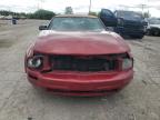 2005 Ford Mustang    for Sale in Indianapolis, IN - Front End