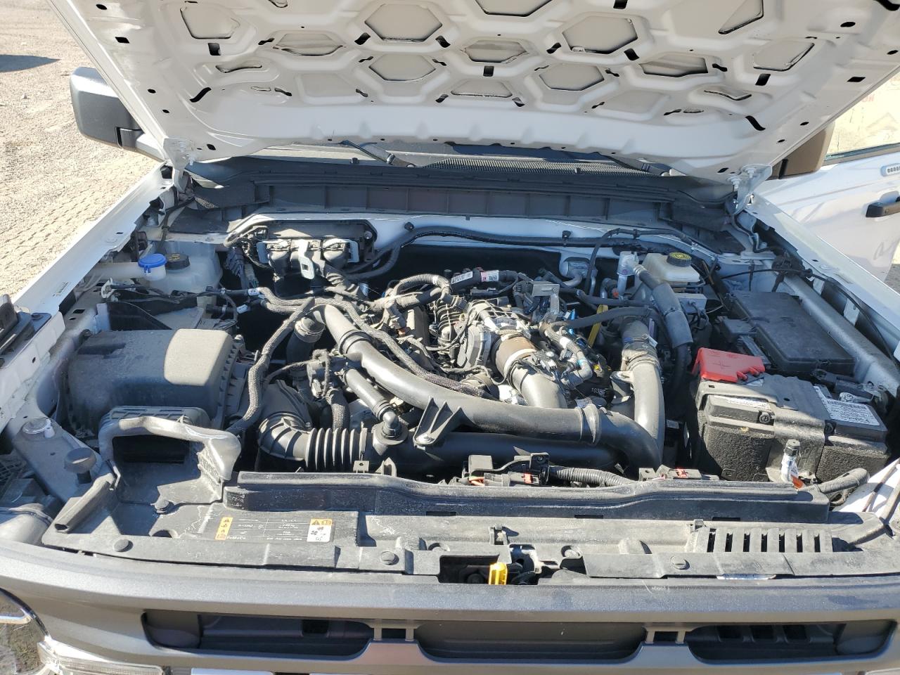 2023 Ford Bronco Base VIN: 1FMEE5BP2PLB64059 Lot: 56026195