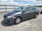 2010 Toyota Corolla Base на продаже в Fredericksburg, VA - Side