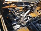 1997 Ford F150  for Sale in Rogersville, MO - Burn