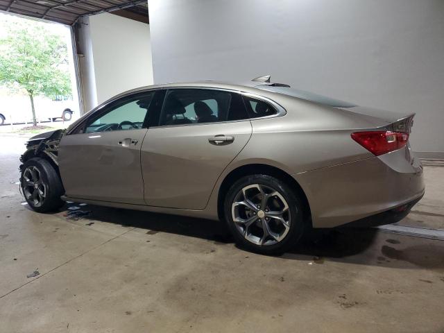  CHEVROLET MALIBU 2024 tan