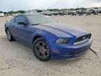 2014 Ford Mustang  for Sale in Houston, TX - Side