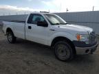 2009 FORD F150  à vendre chez Copart AB - EDMONTON