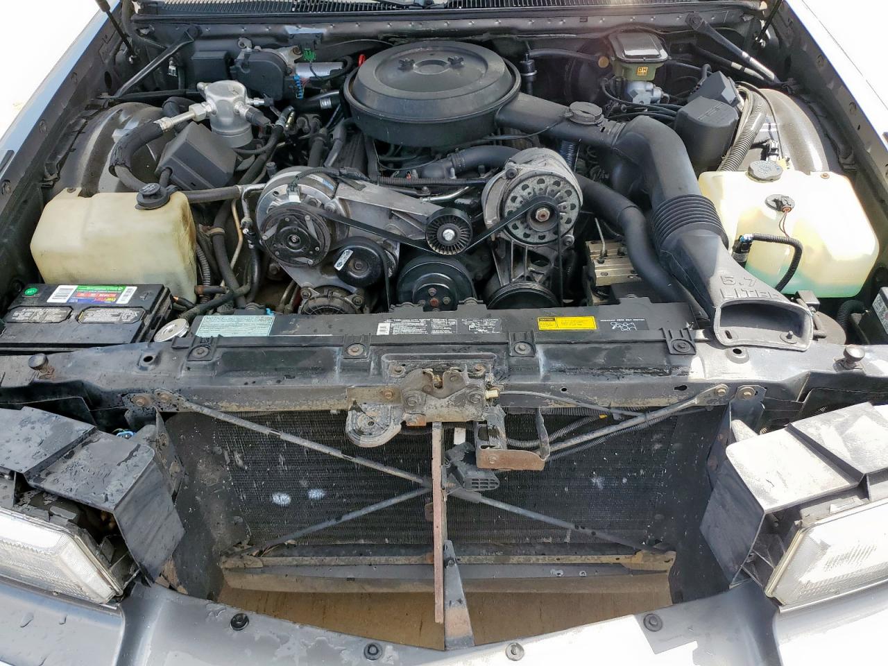 1993 Cadillac Fleetwood Chassis VIN: 1G6DW5276PR715056 Lot: 55323395