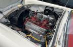 1955 Ford T Bird იყიდება Mendon-ში, MA - Normal Wear
