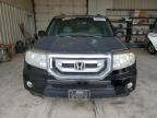 2011 Honda Pilot Exl продається в Abilene, TX - Hail