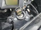 2001 Honda Gl1800  for Sale in Eugene, OR - All Over