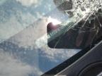 2024 Tesla Model 3  იყიდება Earlington-ში, KY - Front End