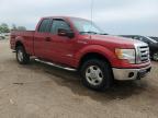Elgin, IL에서 판매 중인 2011 Ford F150 Super Cab   - Side