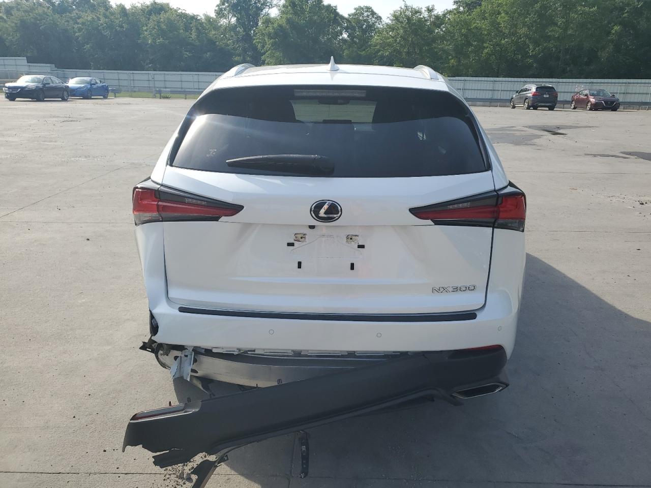 2021 Lexus Nx 300 Base VIN: JTJDARBZ7M5031377 Lot: 56776325