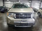 2011 Ford Escape Limited იყიდება Ham Lake-ში, MN - Front End