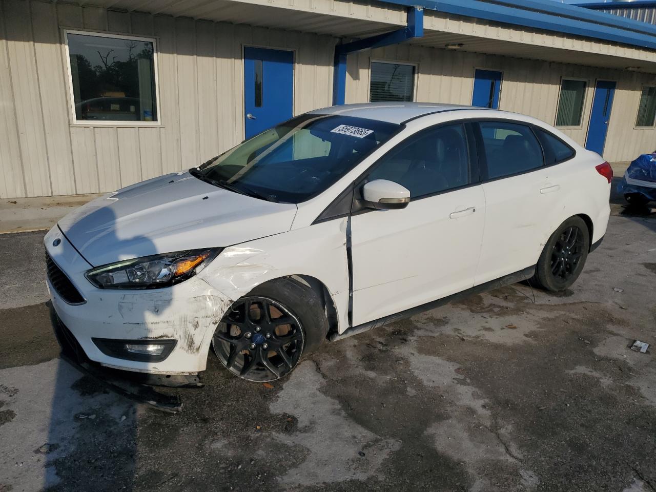 2016 Ford Focus Se იყიდება Fort Pierce-ში, FL - Front End
