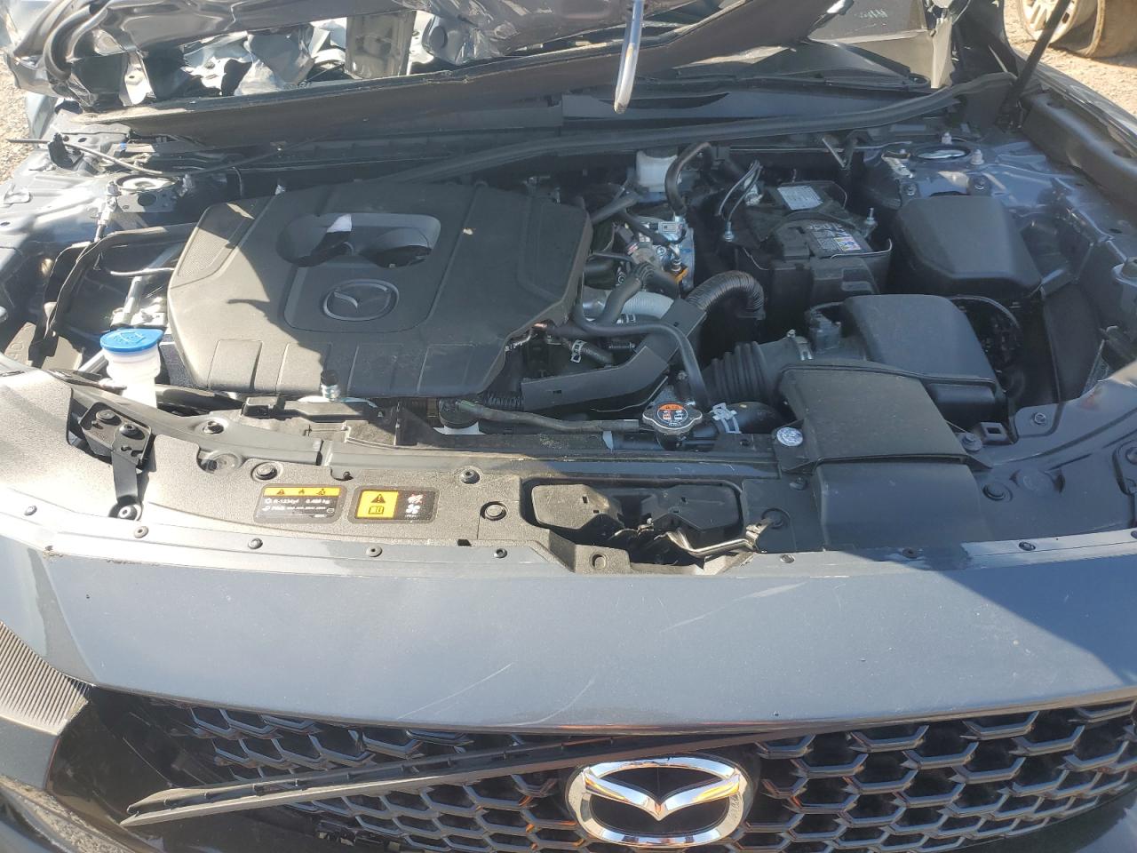 2025 Mazda Cx-50 Premium Plus VIN: 7MMVABEM1SN319228 Lot: 55958135