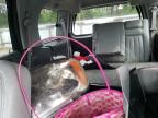 2004 Lincoln Navigator  for Sale in Seaford, DE - Front End