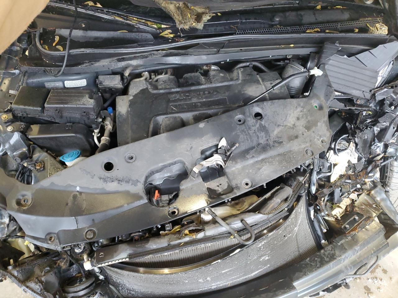 2006 Honda Odyssey Exl VIN: 5FNRL38746B431307 Lot: 57610755