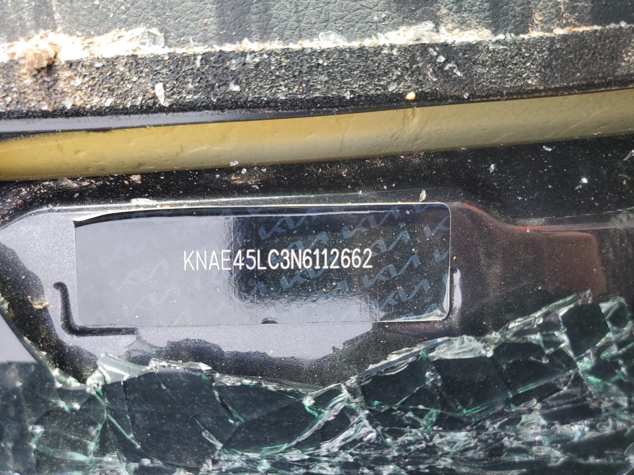 2022 Kia Stinger Gt1 VIN: KNAE45LC3N6112662 Lot: 55526225