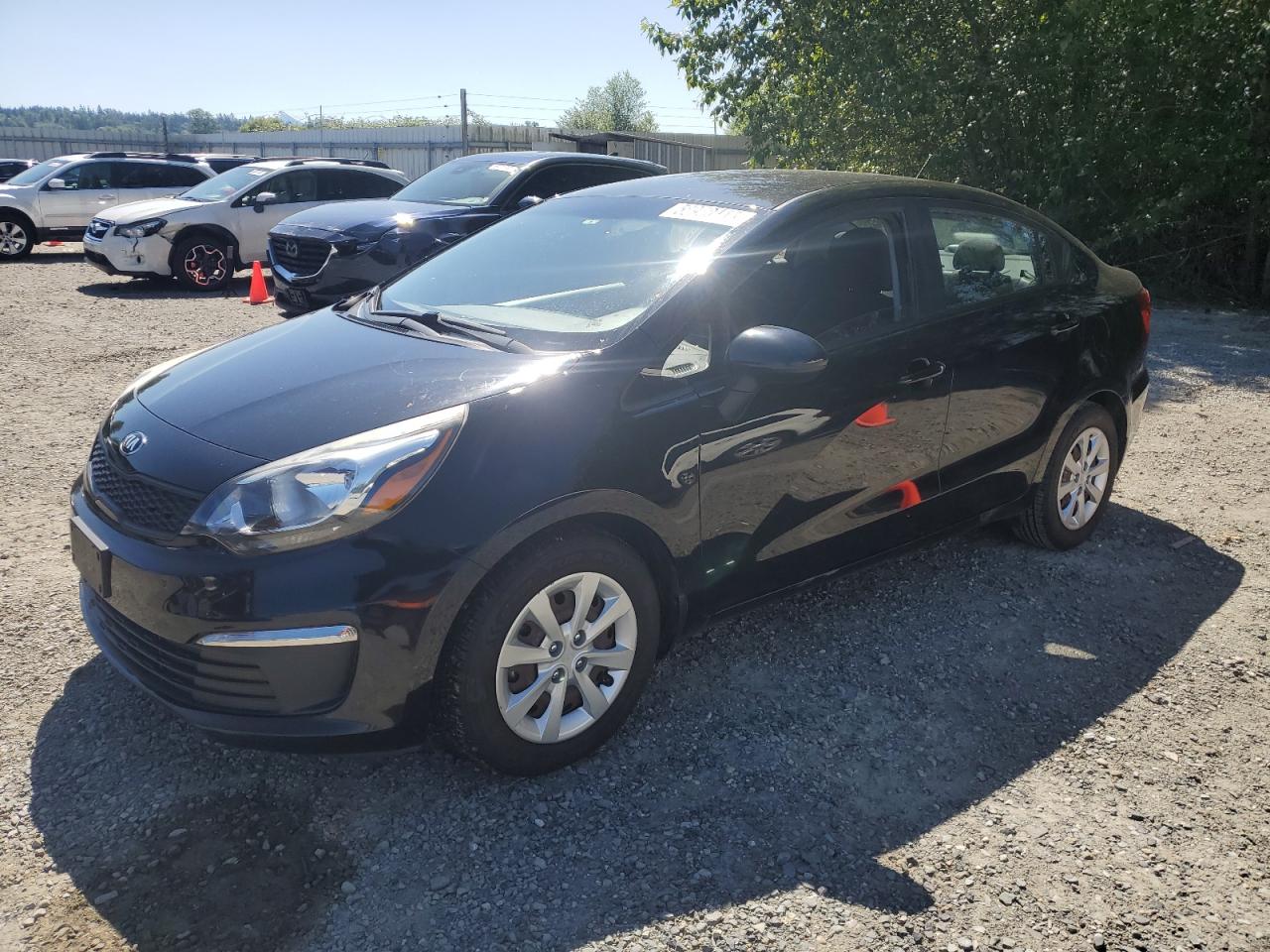2017 Kia Rio Lx for Sale in Arlington, WA - Front End