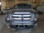 2014 Ford F150 Supercrew for Sale in Columbia, MO - Rear End