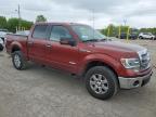 2014 Ford F150 Supercrew продається в Indianapolis, IN - Rear End