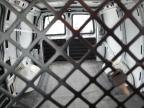 Montgomery, AL에서 판매 중인 2017 Chevrolet Express G2500  - Front End