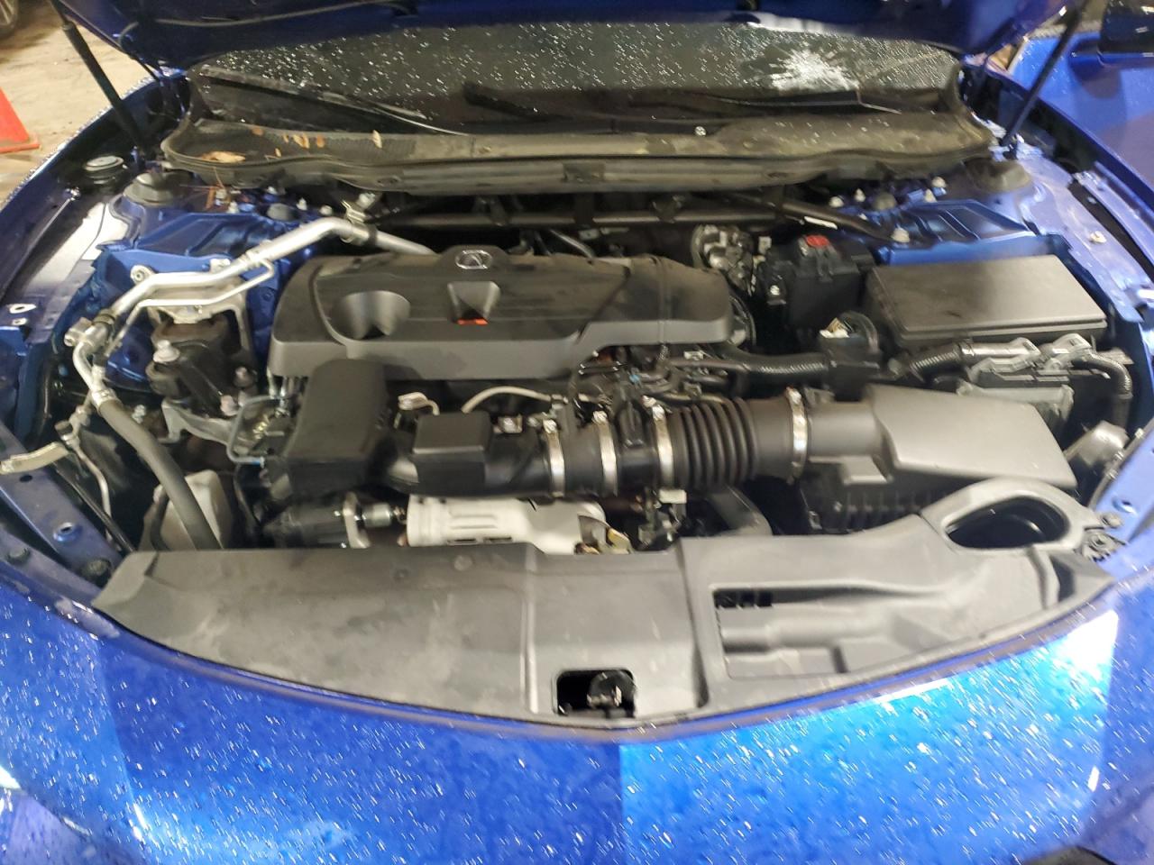2023 Acura Tlx Tech A VIN: 19UUB5F50PA004681 Lot: 56293225