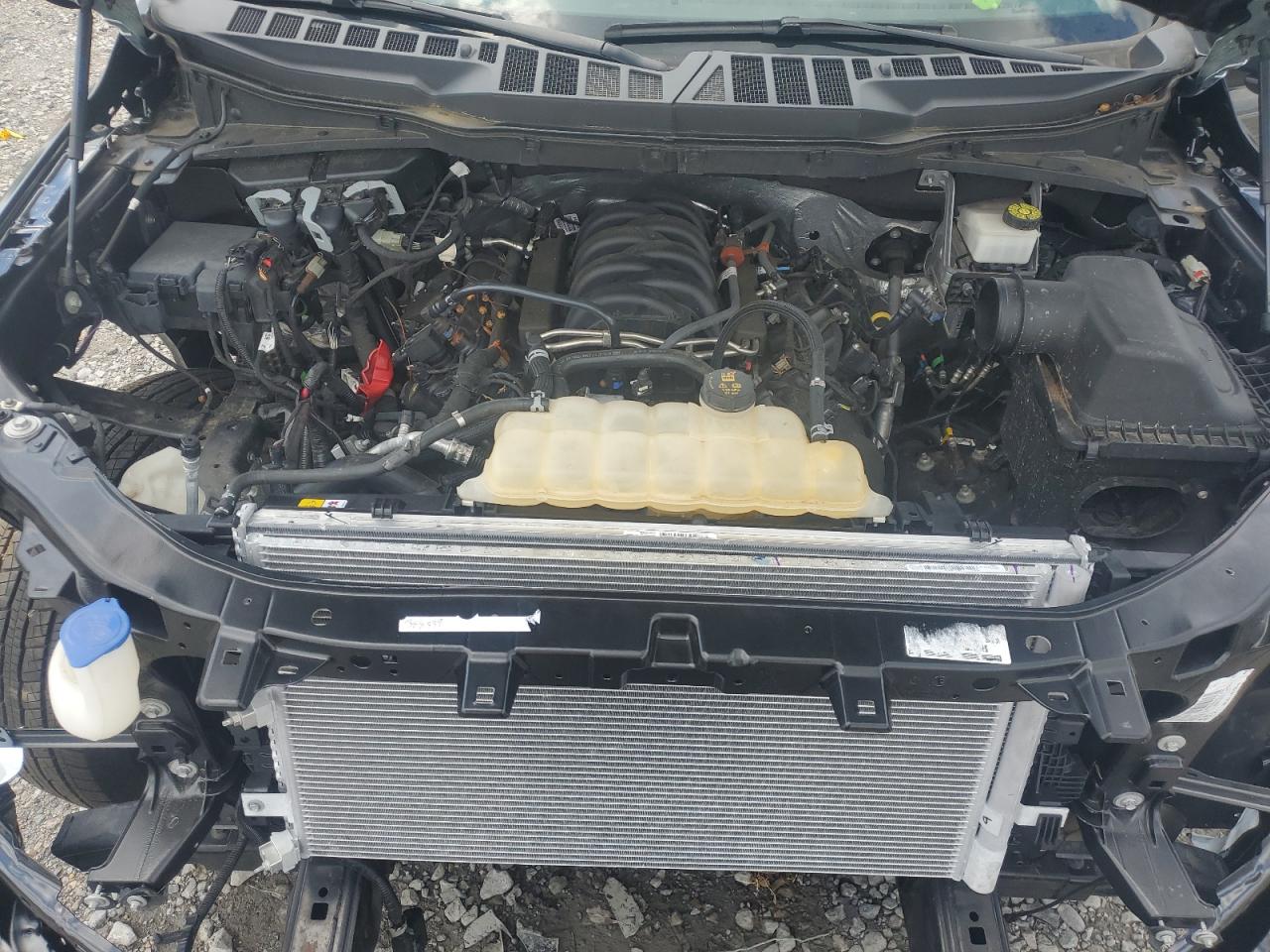 2022 Ford F150 Supercrew VIN: 1FTFW1E51NFC39354 Lot: 56568035