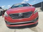 2017 Hyundai Sonata Sport   for Sale in Orlando, FL - Front End
