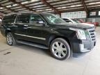 2020 Cadillac Escalade Esv Luxury   للبيع في East Granby، CT - Hail