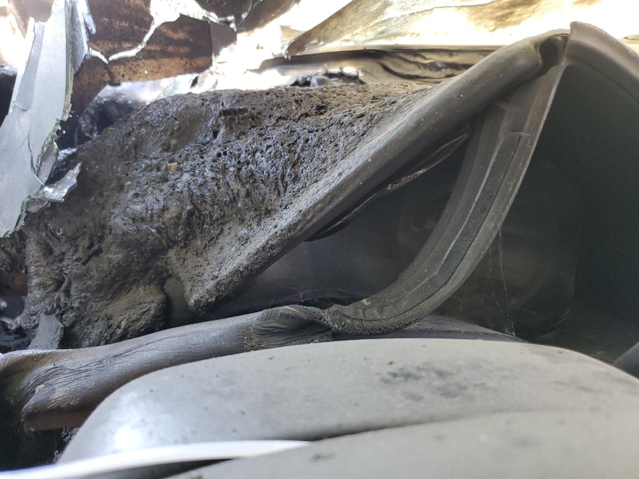 2019 Ford F250 Super Duty VIN: 1FT7W2BT6KED84114 Lot: 54241505