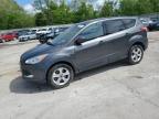 2015 Ford Escape Se for Sale in Ellwood City, PA - Hail