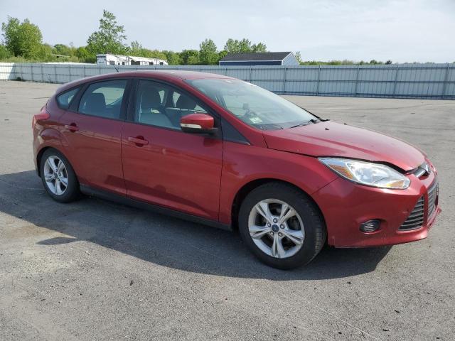  FORD FOCUS 2014 Maroon