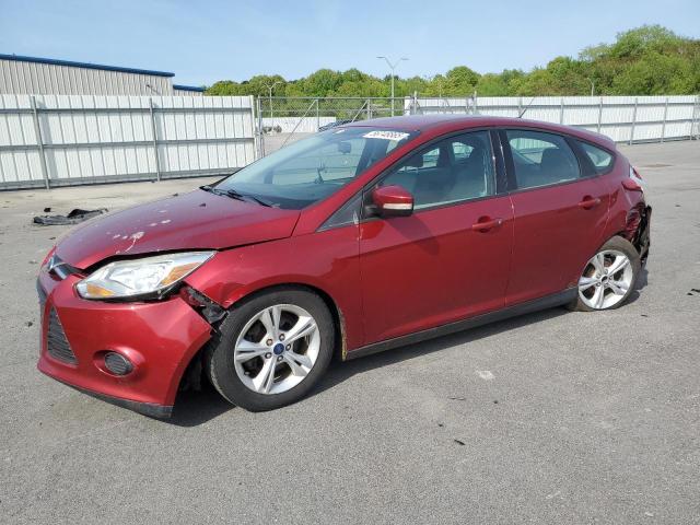  FORD FOCUS 2014 Maroon