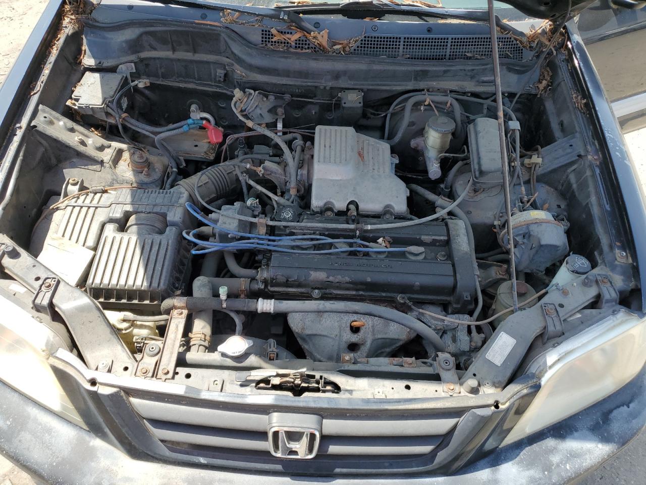 1999 Honda Cr-V Lx VIN: JHLRD1841XC071857 Lot: 55565635