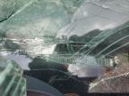 2007 Saturn Vue  na sprzedaż w Riverview, FL - Rollover