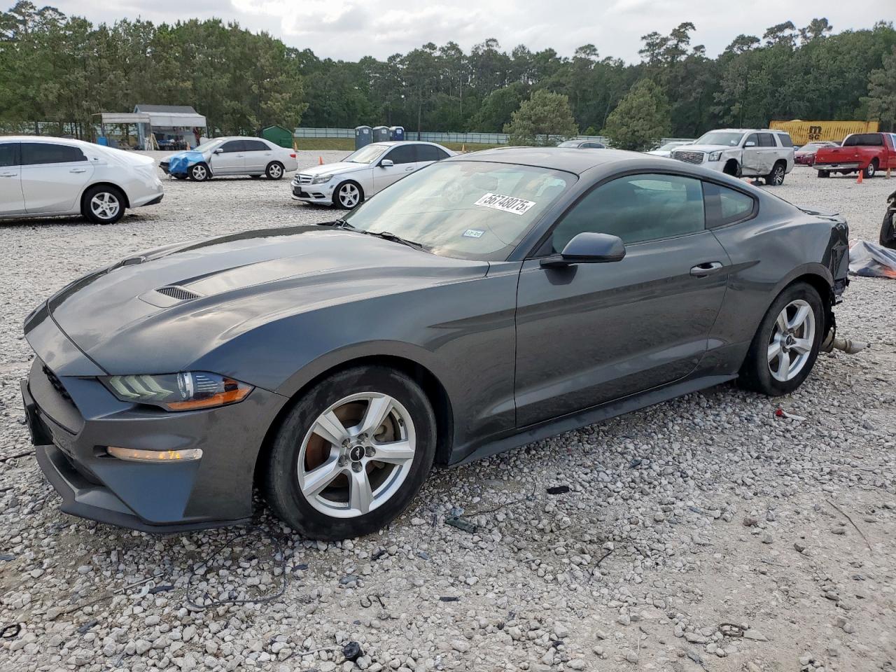Houston, TX에서 판매 중인 2019 Ford Mustang - Rear End