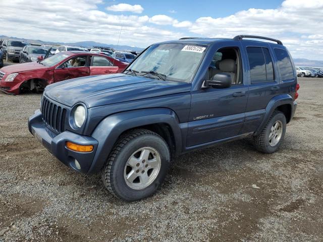 2002 Jeep Liberty Limited