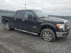 2014 Ford F150 Supercrew იყიდება Ottawa-ში, ON - Mechanical