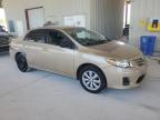 2013 Toyota Corolla Base за продажба в Homestead, FL - Side