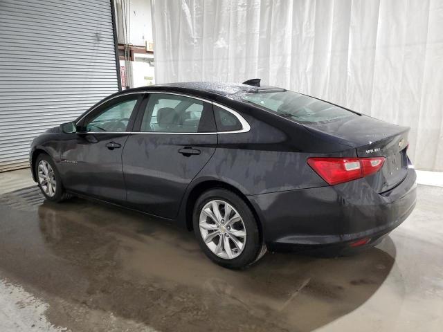  CHEVROLET MALIBU 2023 Gray